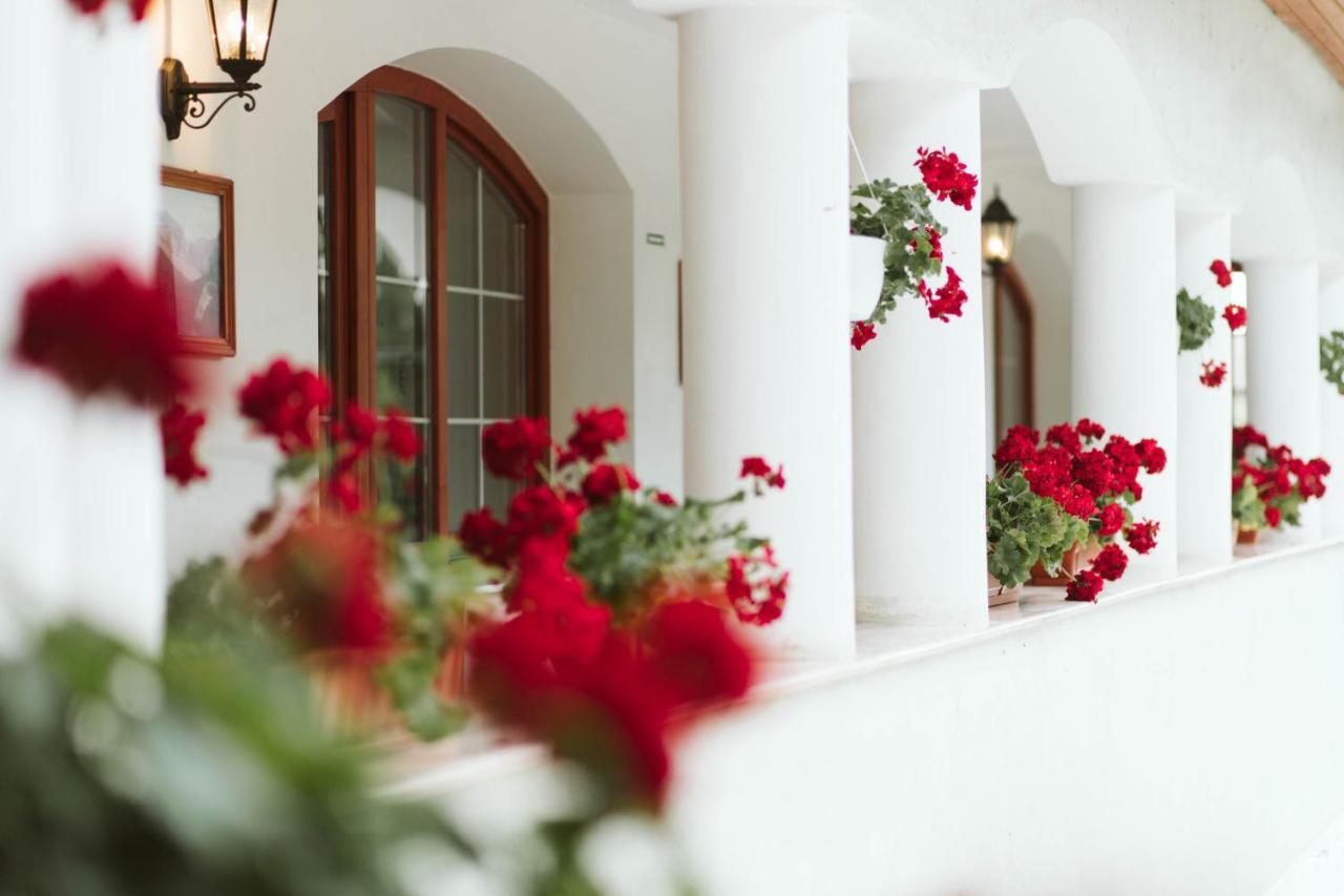 Janka Villa Mikhàza Exterior foto